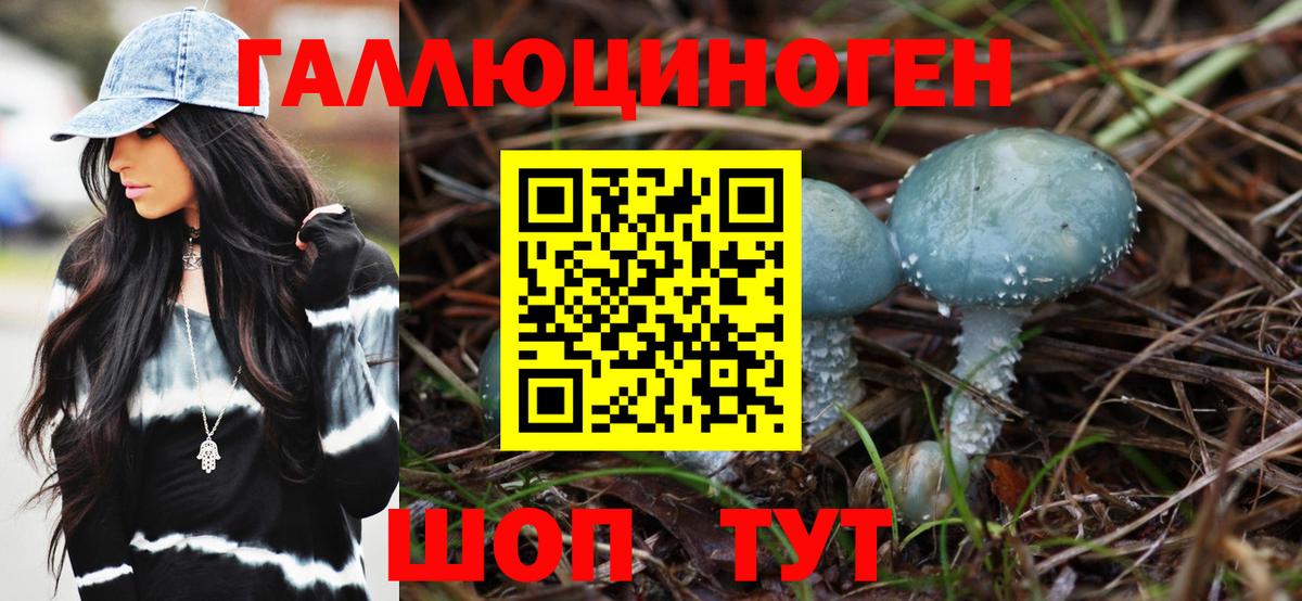 Миасс  Псилоцибиновые грибы MAGIC MUSHROOMS  закладки  Вход с VPN 