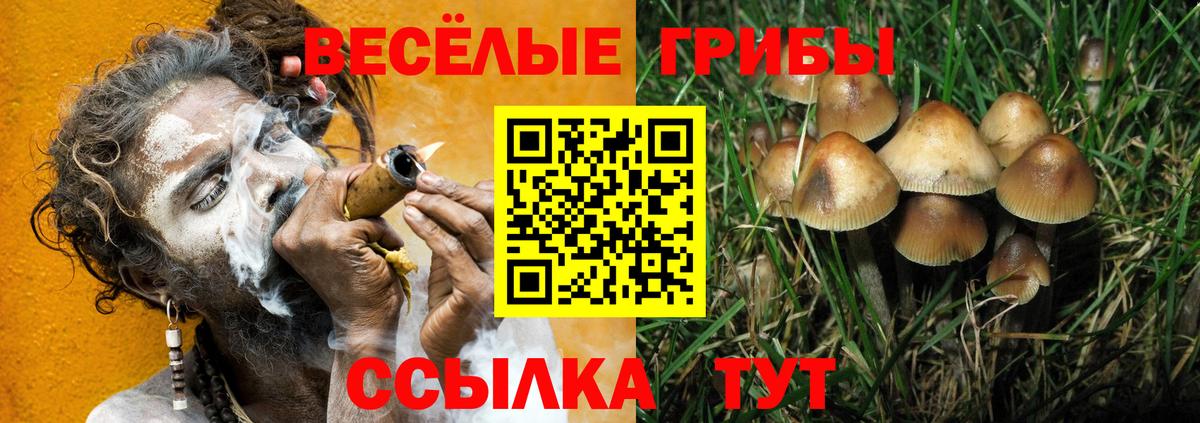 Галлюциногенные грибы GOLDEN TEACHER Миасс